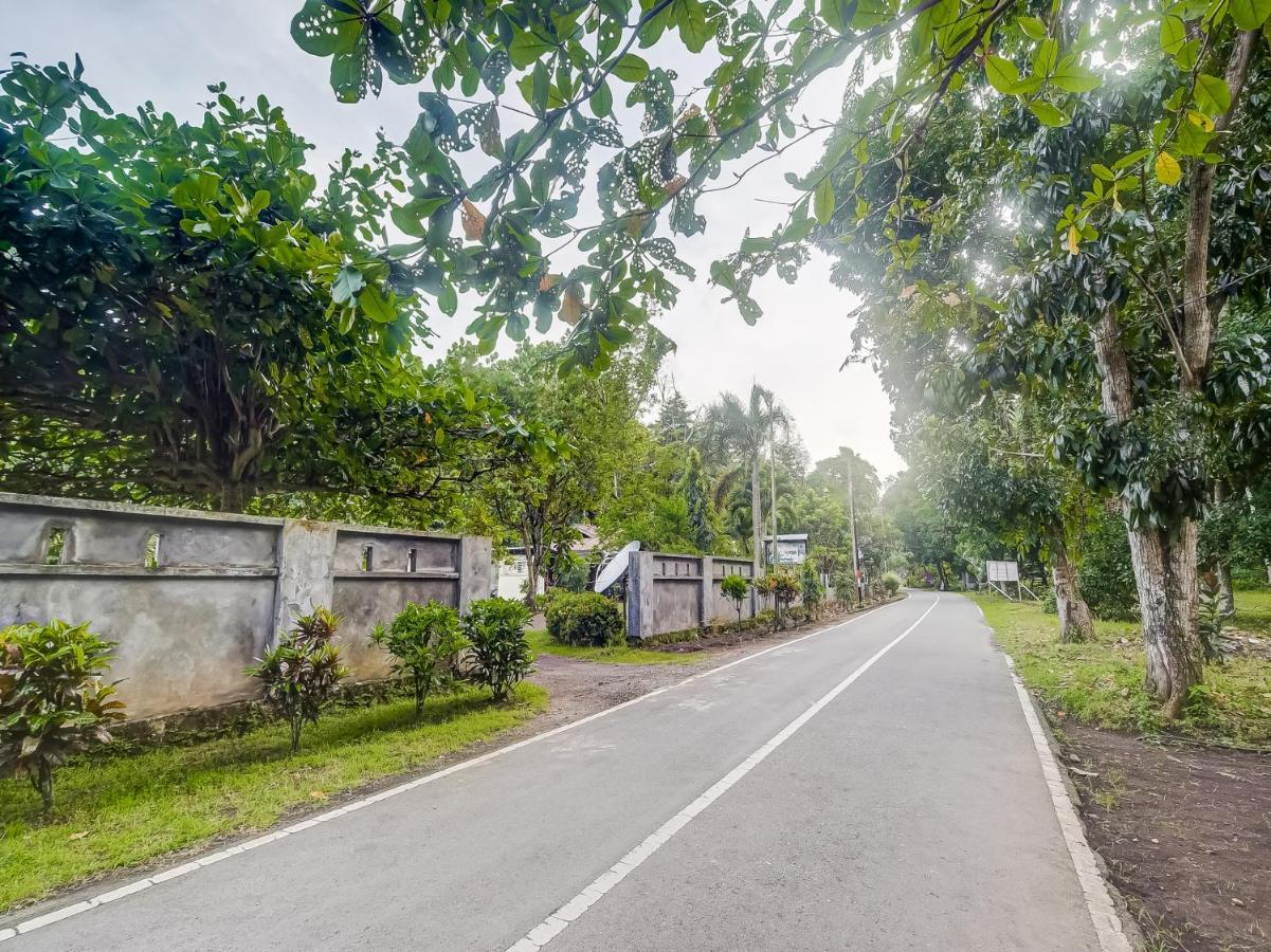 Rinondoran Oyo 90988 Tangkoko Jungle Homestay المظهر الخارجي الصورة