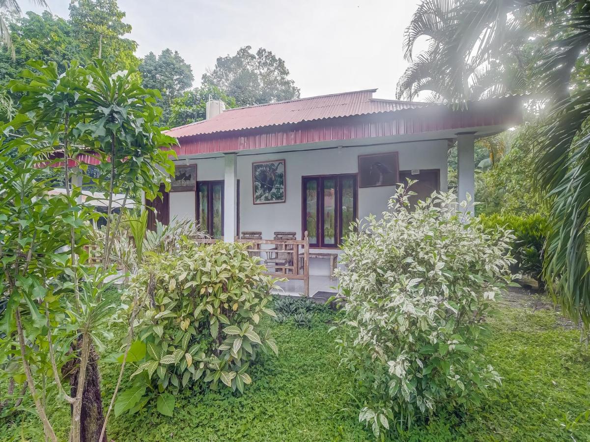 Rinondoran Oyo 90988 Tangkoko Jungle Homestay المظهر الخارجي الصورة