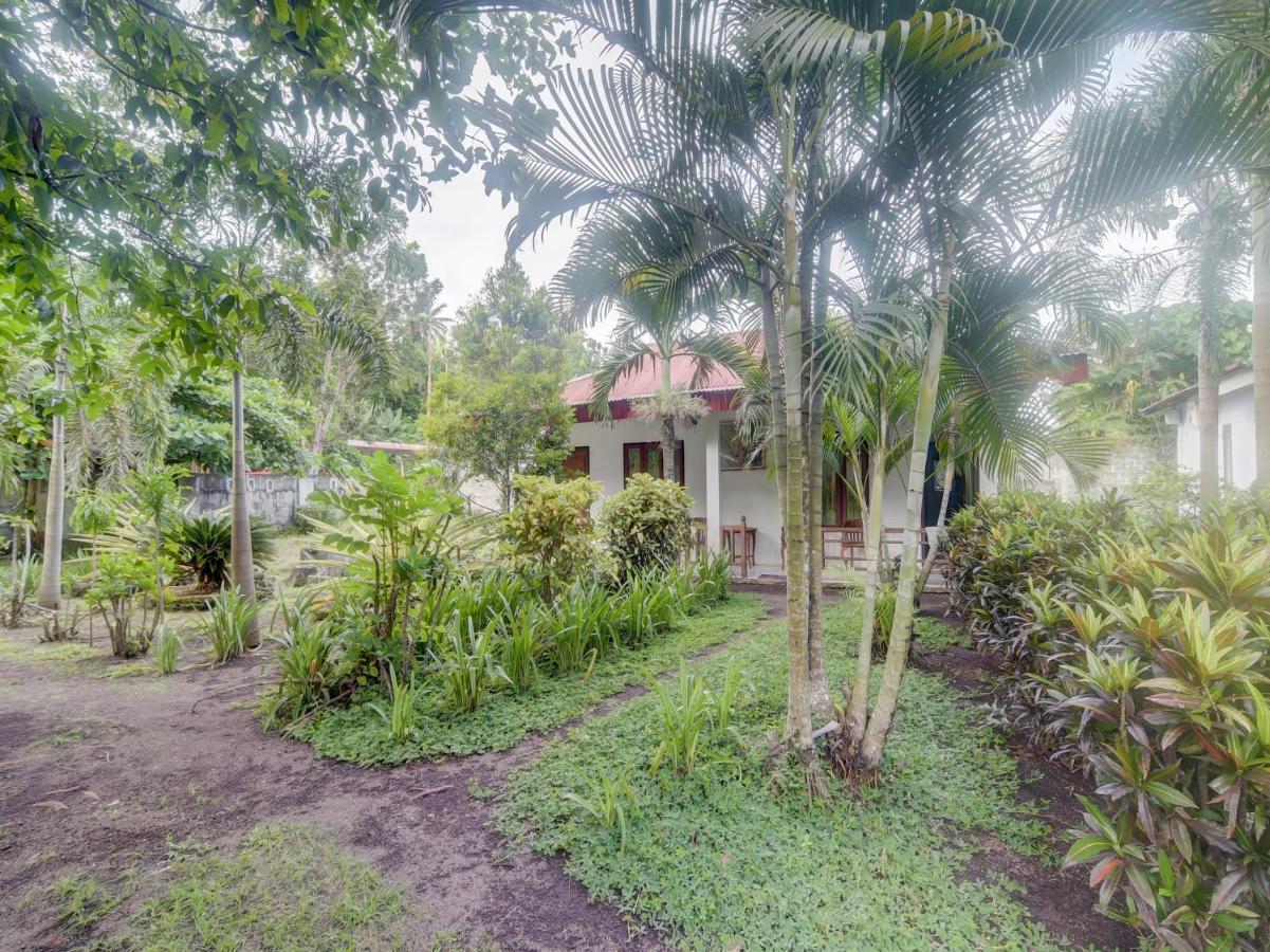 Rinondoran Oyo 90988 Tangkoko Jungle Homestay المظهر الخارجي الصورة